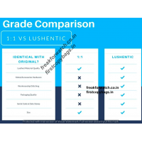 1:1 First Copy Bags Vs Lushentic Super Fake Bags